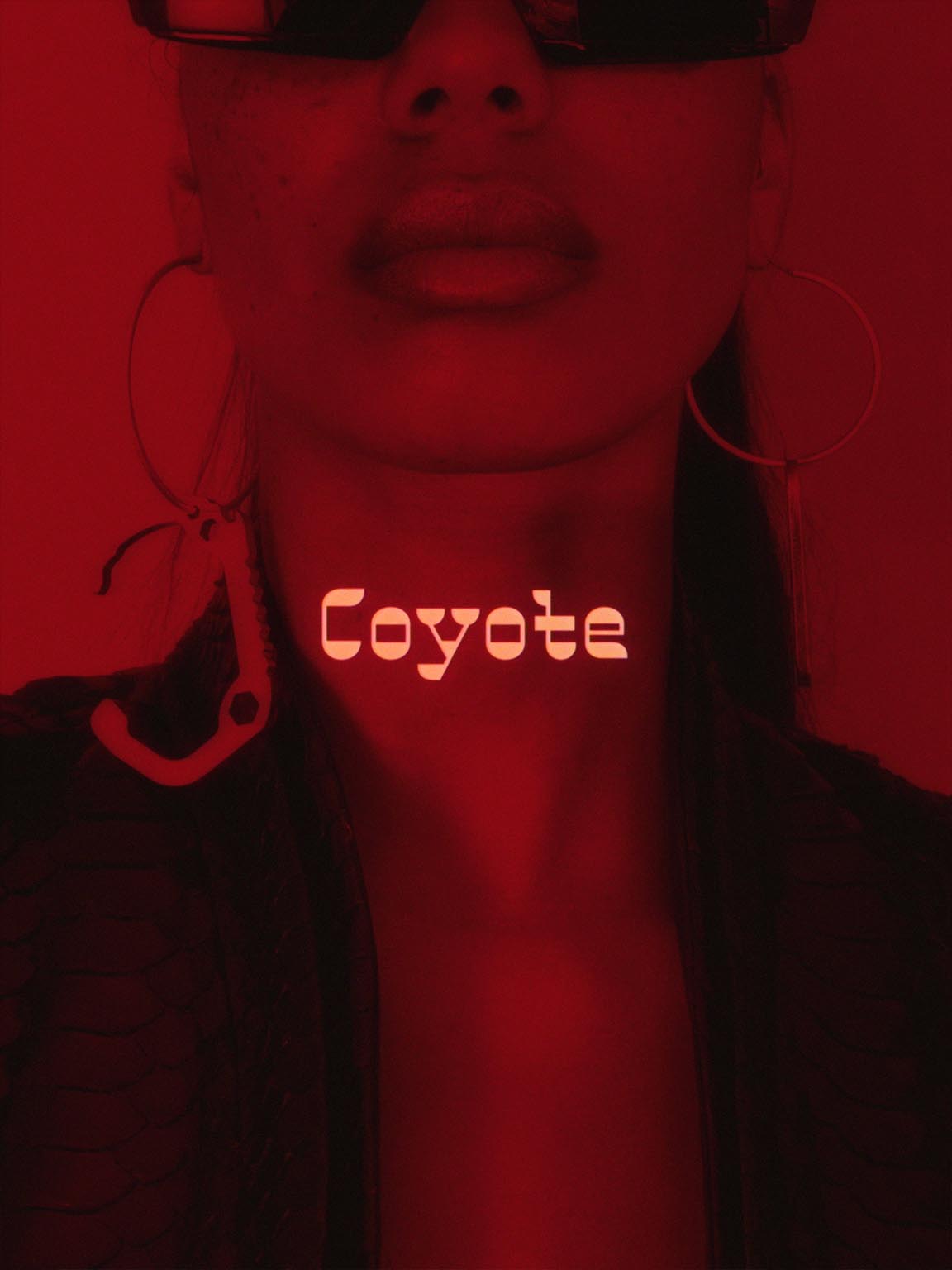 Picture of Coyote project by Perimetre, a creative studio based in Paris